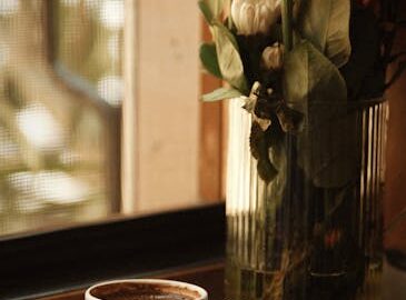 Melhores estratégias para comprar seguidores instagram barato